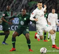 沃尔夫斯堡球员伤愈复出,助球队重返胜利轨道的简单介绍 沃尔夫斯堡球员伤愈复出,助球队重返胜利轨道的简单介绍